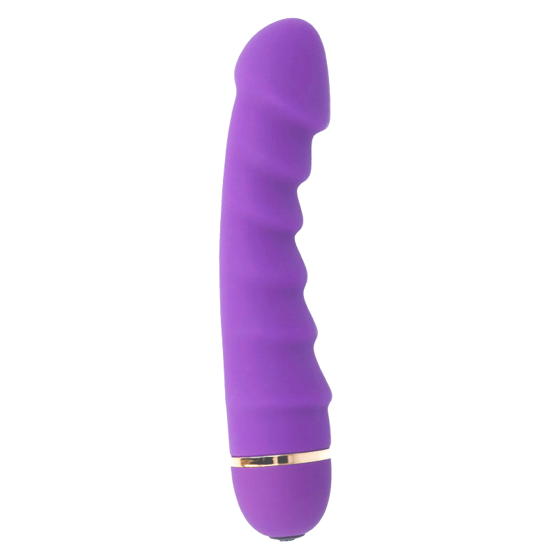 INTENSE - SALLY 20 VELOCIDADES SILICONE LILAC