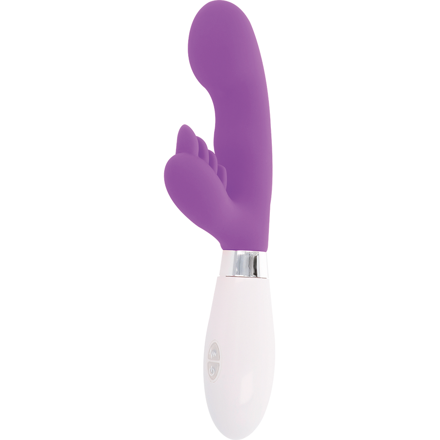 GLOSSY - COELHO ELVIS ROXO